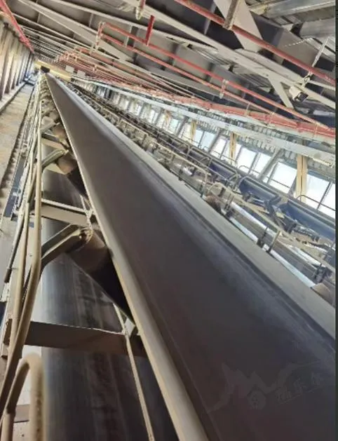 conveyor belt